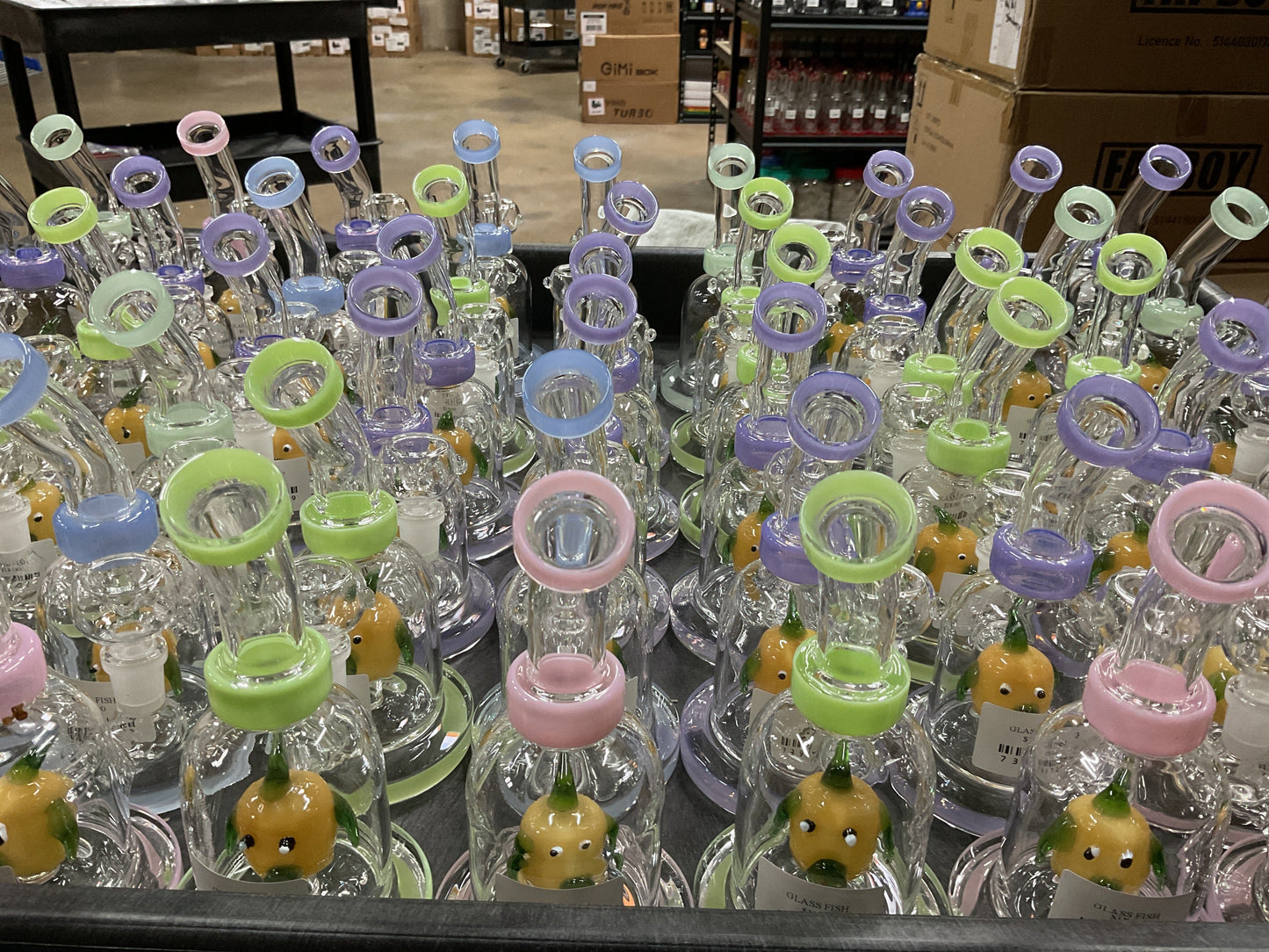 Glass fish