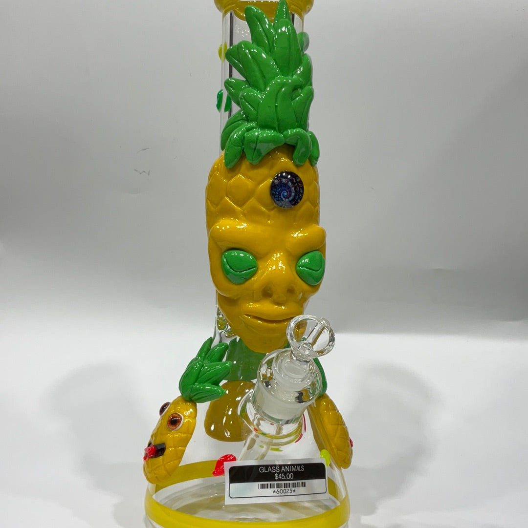 60025 Glass Animals