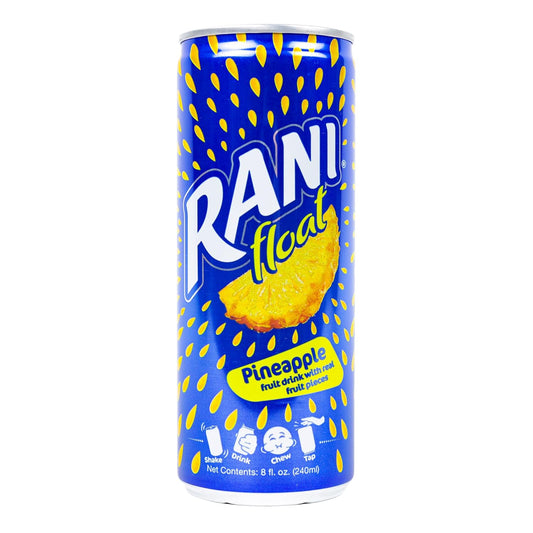 Rani Float With Real Fruit 250 ml (24 pcs)