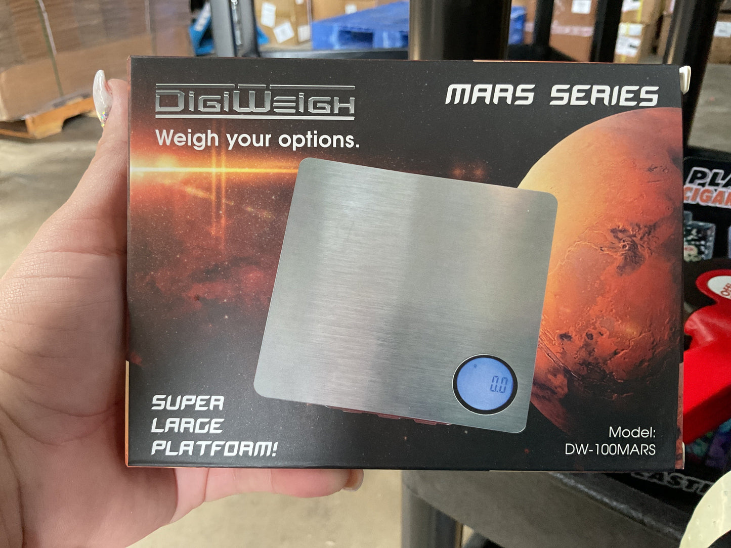 Scale DIGIWEIGH (LARGE) *100g*