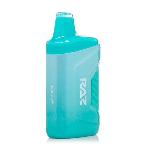 RAZ 6000 PUFFS (10 Pack)